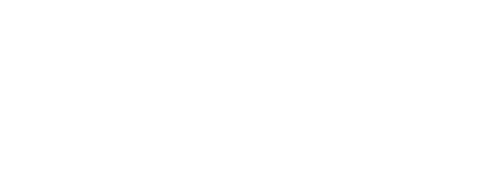 Hansen Ortho